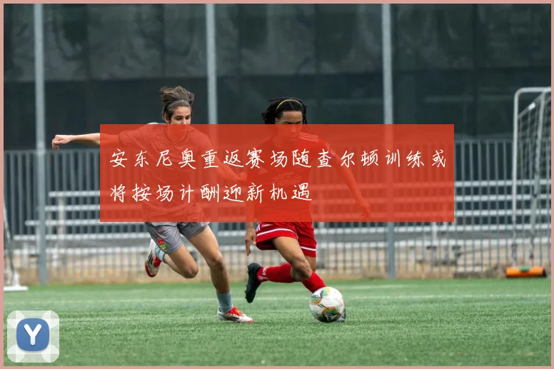 安东尼奥重返赛场随查尔顿训练或将按场计酬迎新机遇