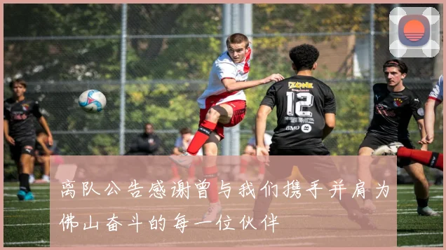 离队公告感谢曾与我们携手并肩为佛山奋斗的每一位伙伴