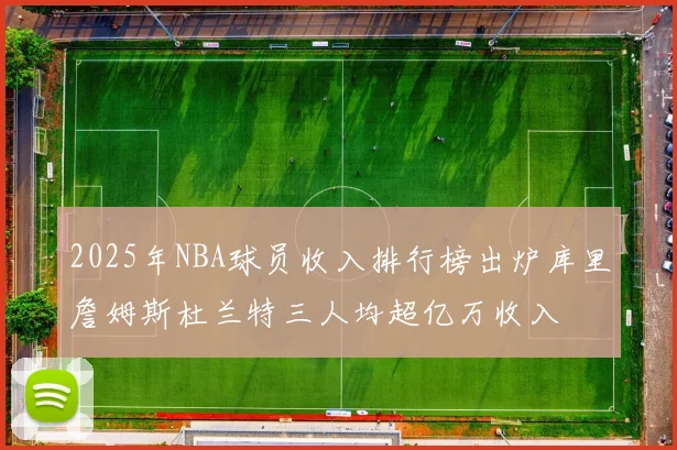 2025年NBA球员收入排行榜出炉库里詹姆斯杜兰特三人均超亿万收入