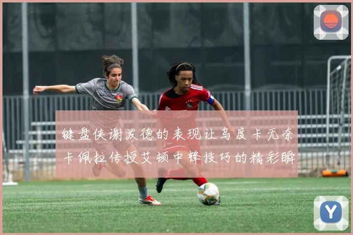 键盘侠谢泼德的表现让乌度卡无奈卡佩拉传授艾顿中锋技巧的精彩瞬间