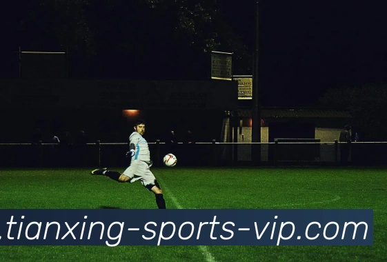 天行体育平台生态图